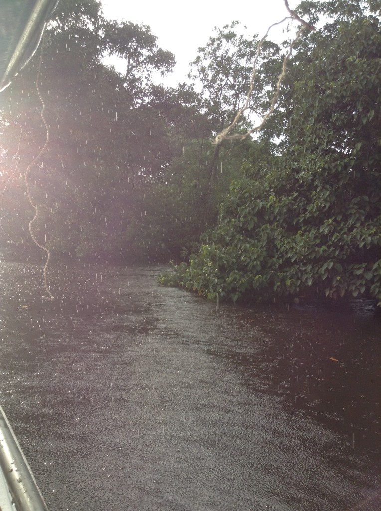 下雨中的熱帶雨林