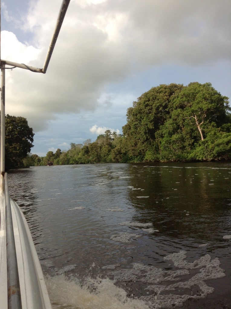 兩邊都是紅樹林