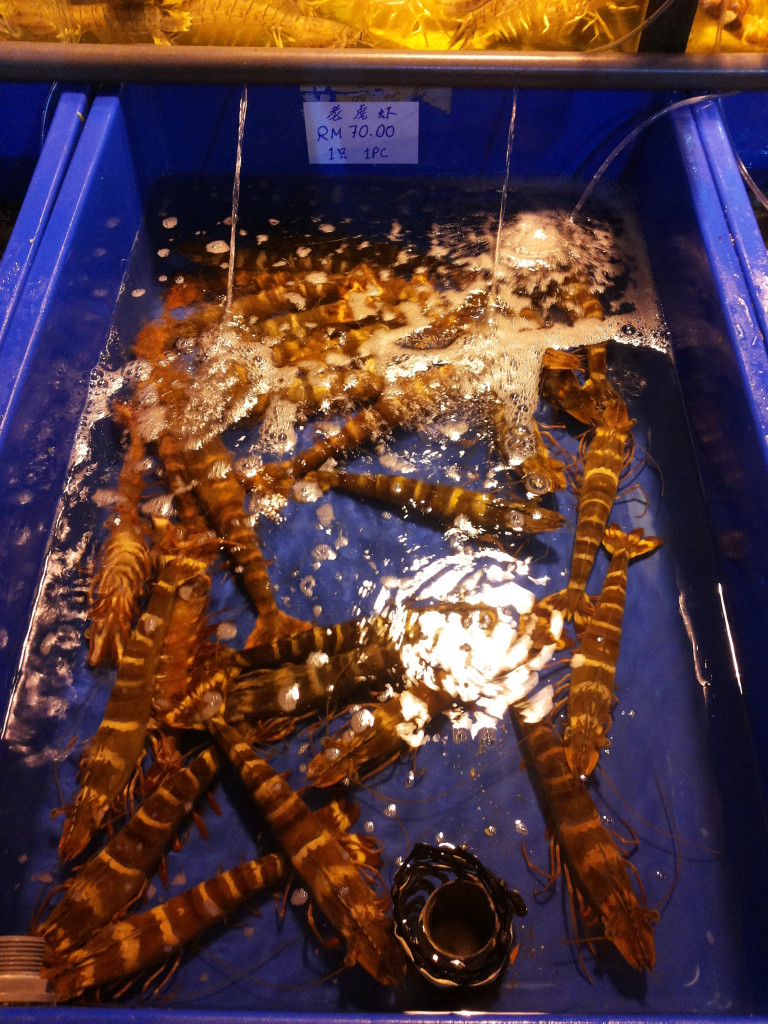 新鮮老虎蝦