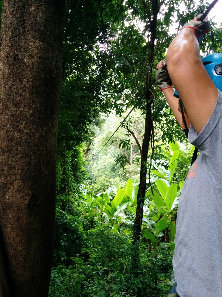 根本看不到對面