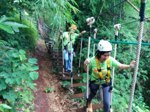 Jungle Flight 飛越叢林