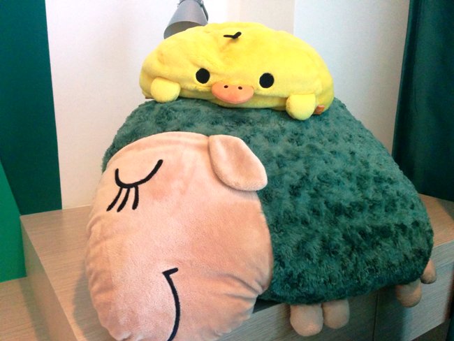 回到酒店後,真的要小休一回,第一次玩ATV太緊張了。