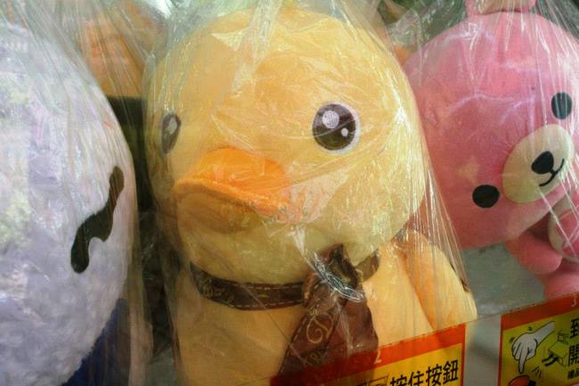 公園的一個小鴨作結