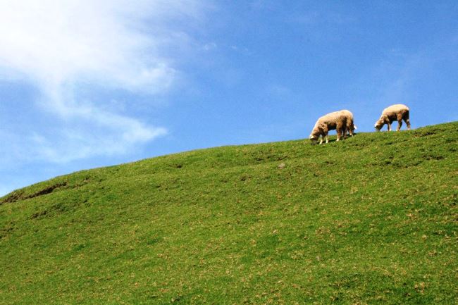 清境自由行攻略