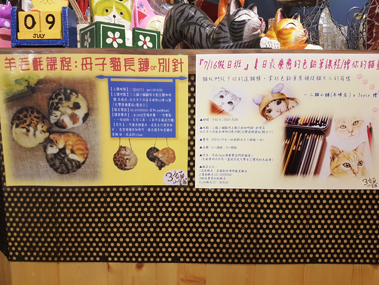 貓貓課程