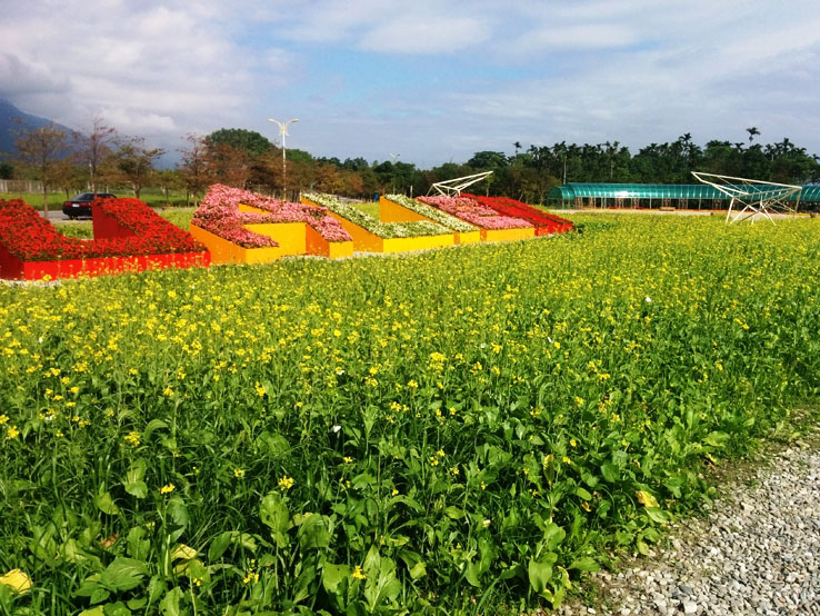 比四季花海還美麗