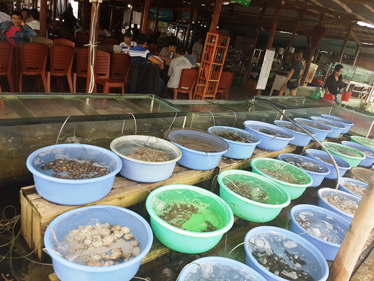 還是在香港吃吧