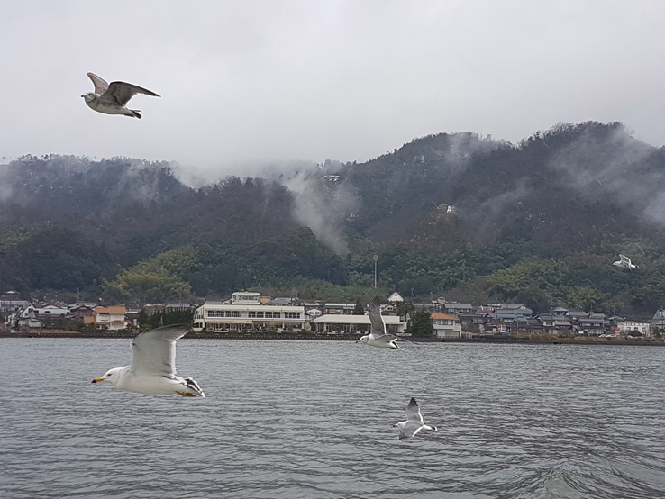 看風景才是重點