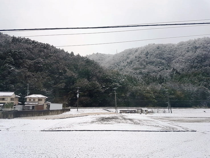 突然開始下雪了