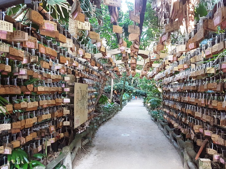 小隊道掛上願望