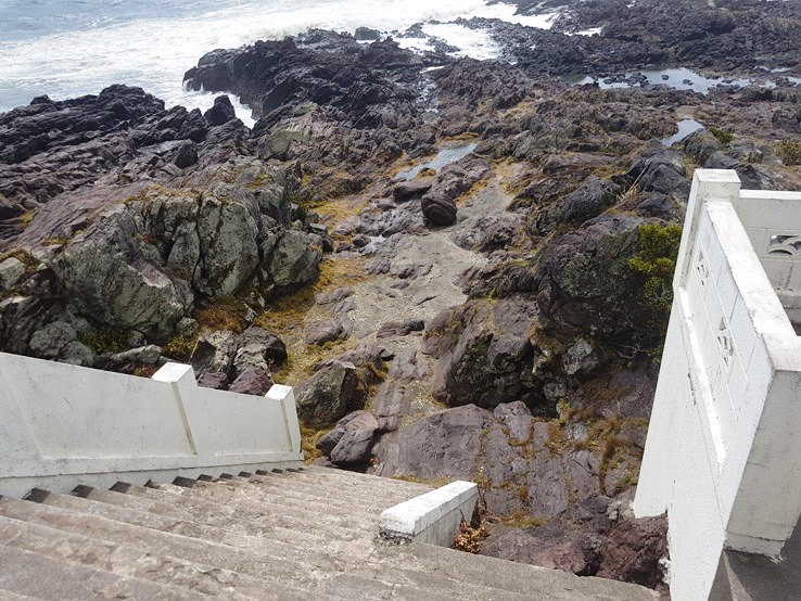 這裡是有條小路走下去，但不知是早上下雨了的關係，佈滿了水氹有點危險。不然的話走下去到海邊看看也是不錯的。